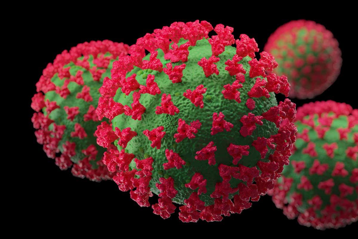 2K661HF COVID variant coronavirus medical illustration 3d rendering. BQ.1.1 highly mutated subvariant, very contagious