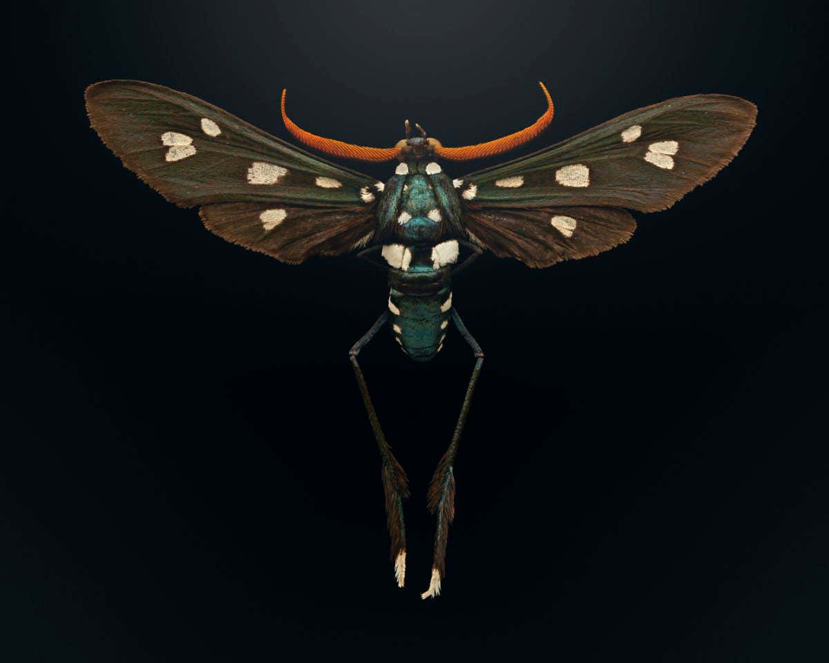 New Scientist. Science news and long reads from expert journalists, covering developments in science, technology, health and the environment on the website and the magazine.