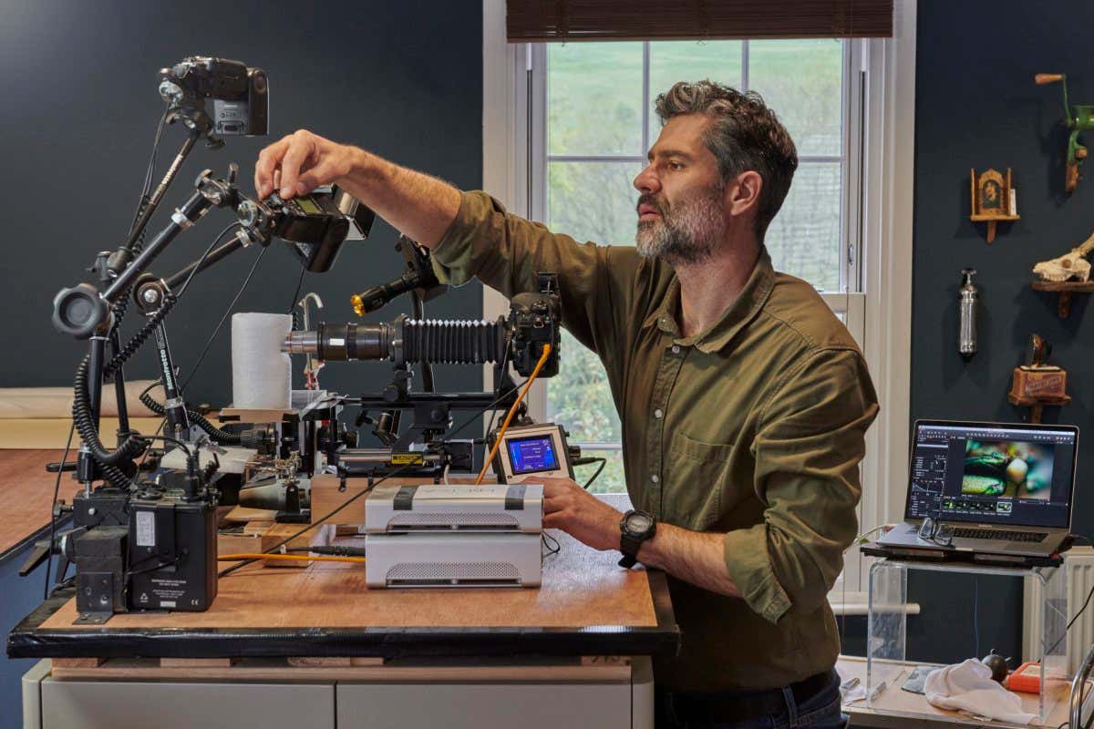 Levon Biss, extreme macro photographer specilaising in insect and botanical subjects. Websites: www.microsculpture.net & www.levonbiss.com