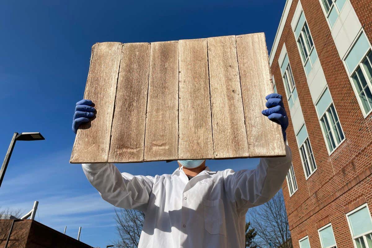 A man holding up insulwood