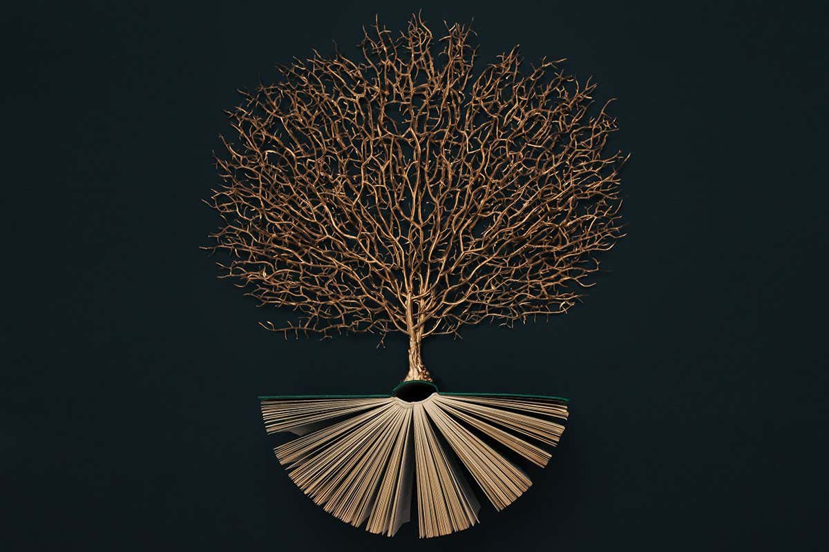 Golden tree growing from the old book, Education and knowledge concept. Flat lay.; Shutterstock ID 2105839085; purchase_order: -; job: -; client: -; other: -