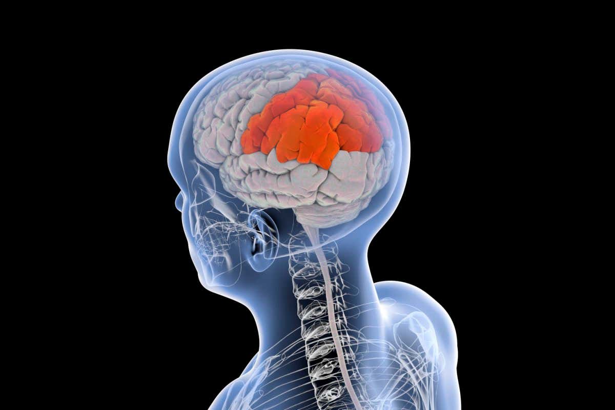 One brain network may be involved in six mental health conditions