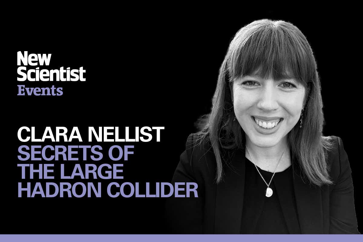 New Scientist Default Image