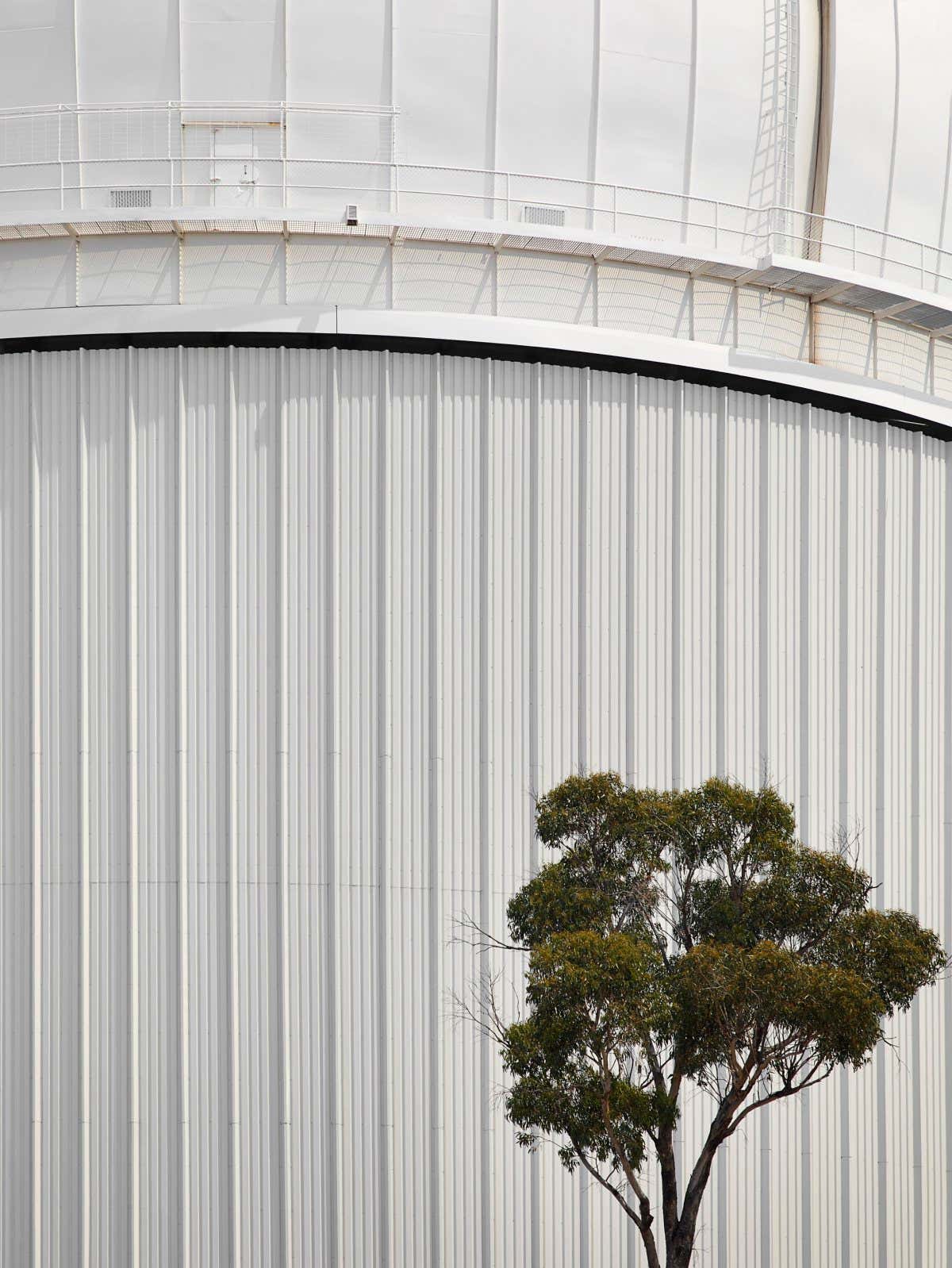 New Scientist. Science news and long reads from expert journalists, covering developments in science, technology, health and the environment on the website and the magazine.