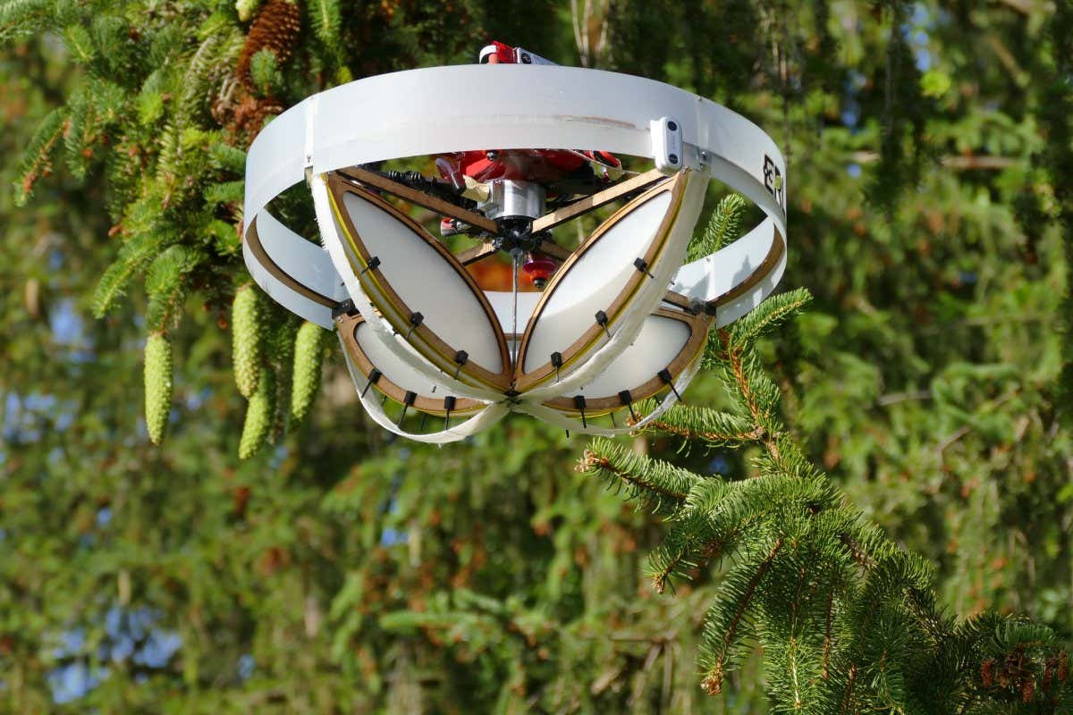 A drone approaching a branch for sampling