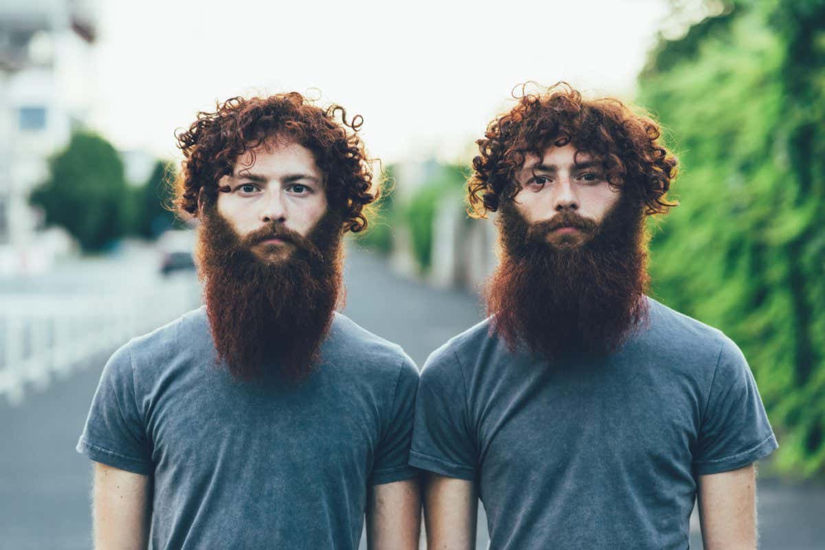 HBATA9 Portrait of identical adult male twins with red hair and beards on sidewalk