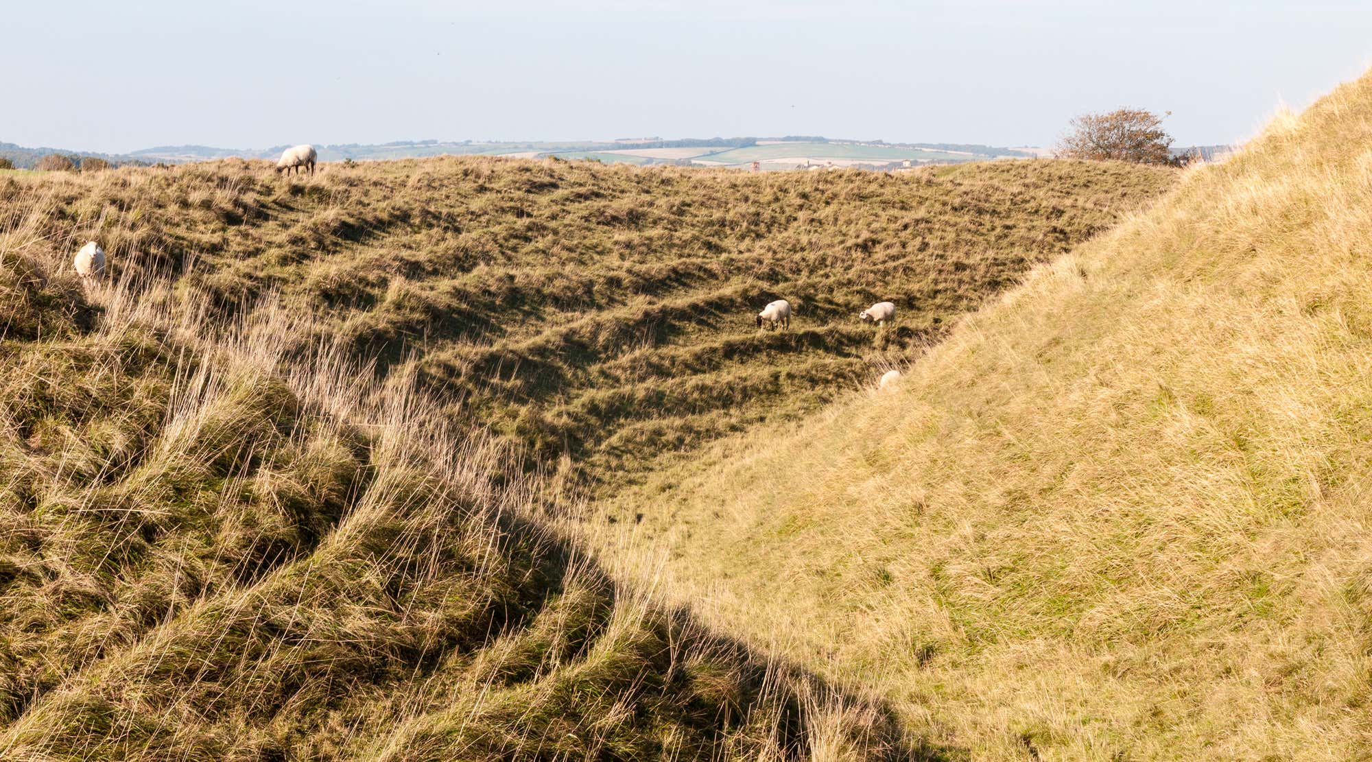 New Scientist. Science news and long reads from expert journalists, covering developments in science, technology, health and the environment on the website and the magazine.