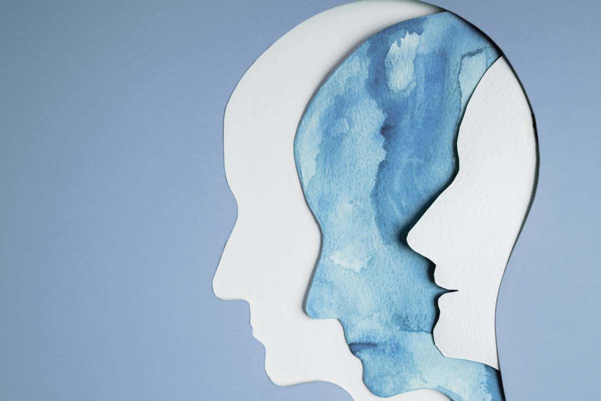 Mental Health Disorder Concept. Bipolar Disorder Person. Unstable Psycho. Layers of Paper Cut as Human...