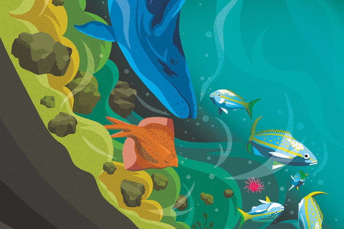 New Scientist. Science news and long reads from expert journalists, covering developments in science, technology, health and the environment on the website and the magazine.