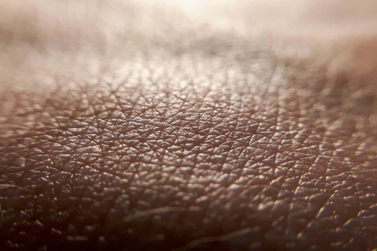 A picture of human skin in close-up