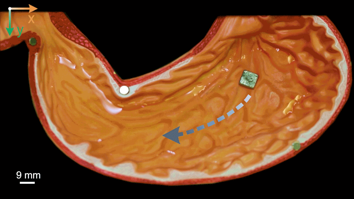 New Scientist. Science news and long reads from expert journalists, covering developments in science, technology, health and the environment on the website and the magazine.