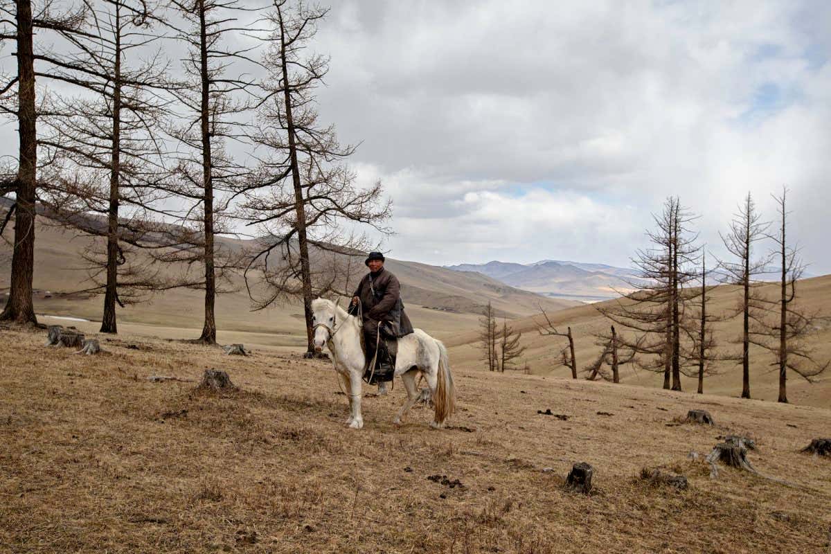 Mongolia - Uvurkhangai province - Portrait of Ganbaatar Davaasuren (?Bukhuu? ) riding one of his horses.
