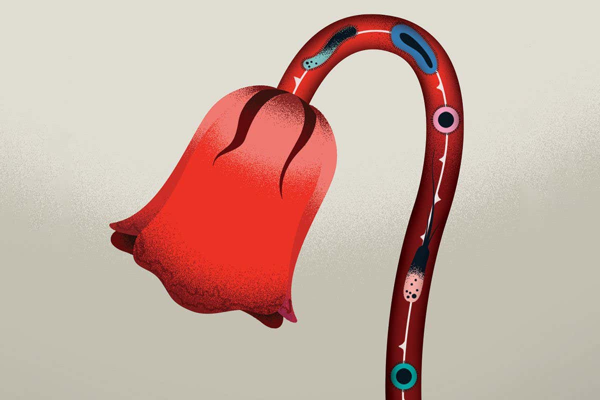 New Scientist. Science news and long reads from expert journalists, covering developments in science, technology, health and the environment on the website and the magazine.