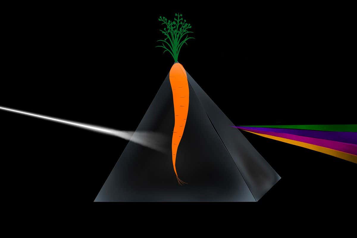 New Scientist. Science news and long reads from expert journalists, covering developments in science, technology, health and the environment on the website and the magazine.