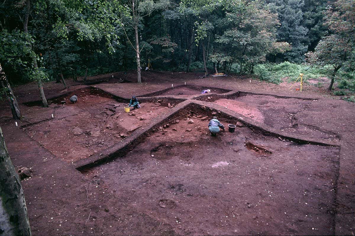 Excavations at Heath Wood in England