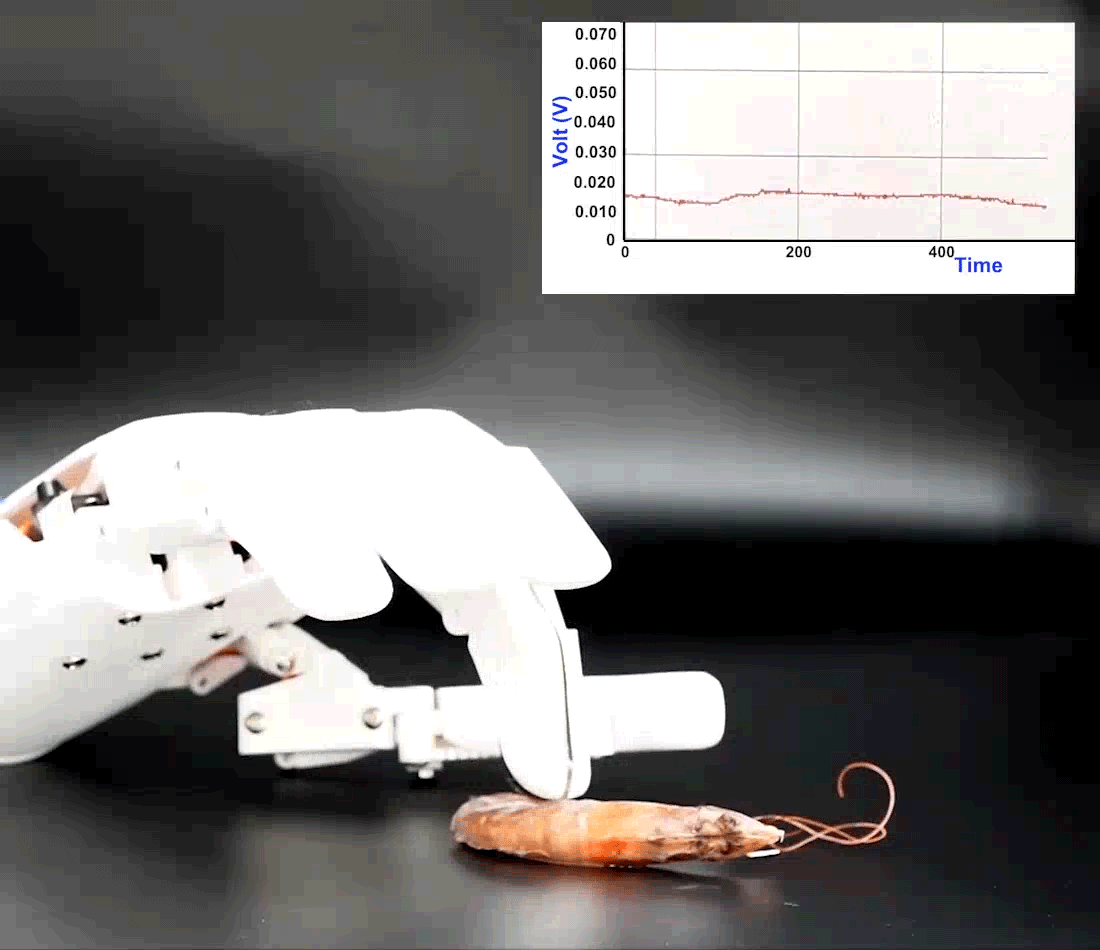 New Scientist. Science news and long reads from expert journalists, covering developments in science, technology, health and the environment on the website and the magazine.