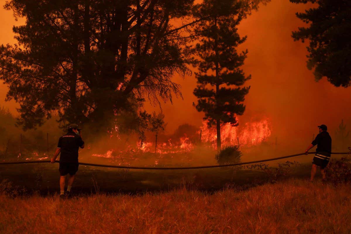 Residents work to extinguish a wildfire in Chile