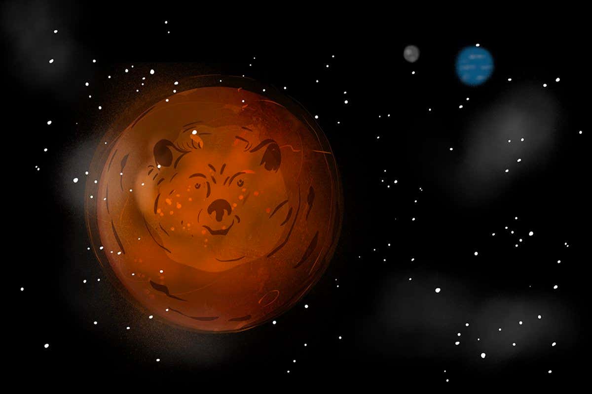 When is a bear's face not a bear's face? When it is a Mars bear