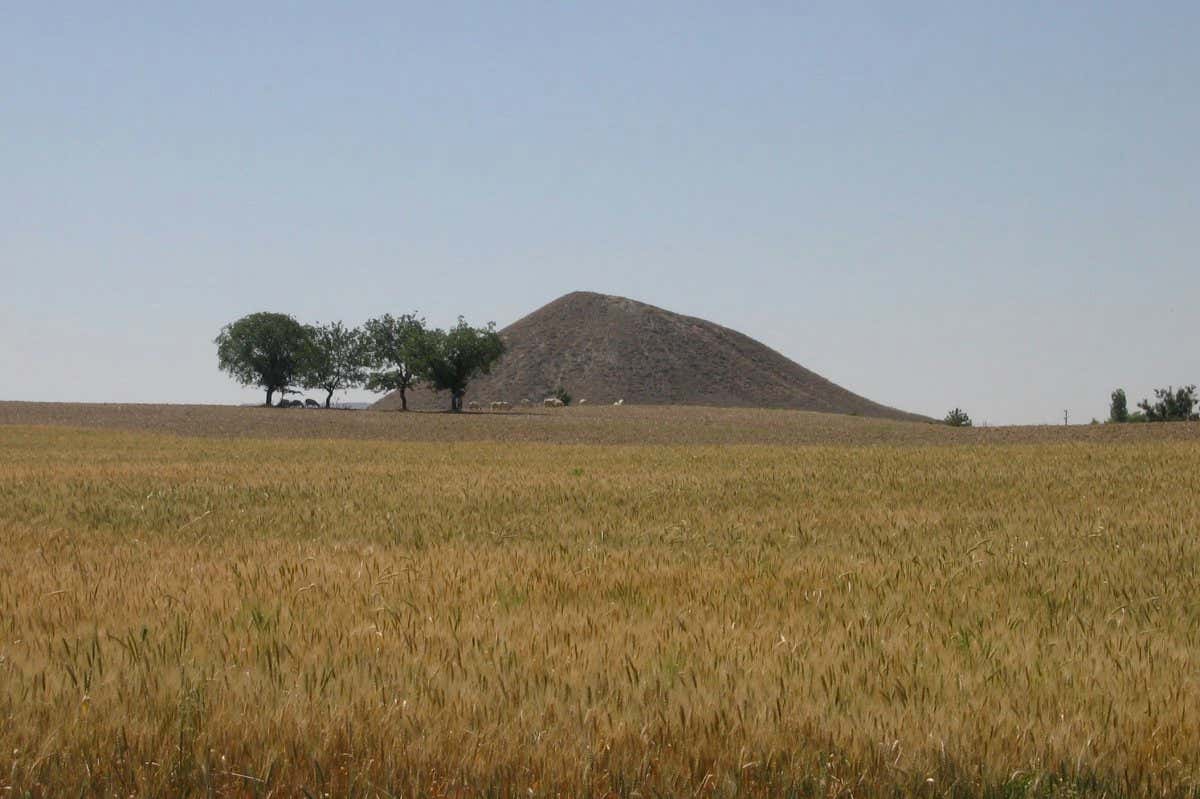 Midas Mound Gordion and landscape and cereal crop
