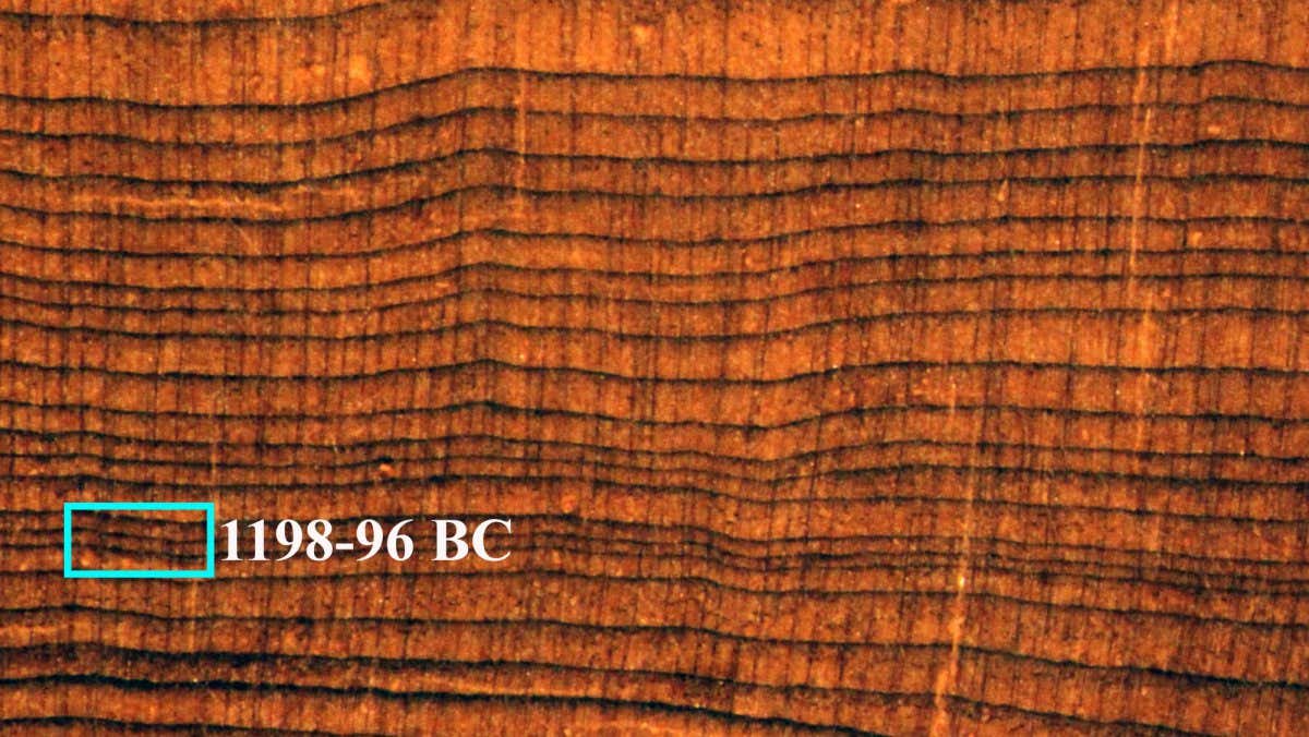 Tree rings from juniper log