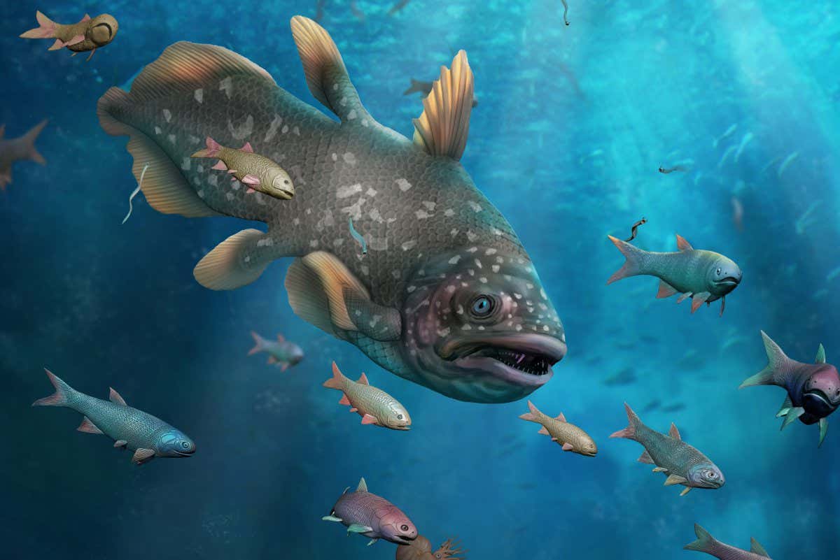 This is an artistic reconstruction of the Guiyang Biota. Guiyang Biota represents the oldest known Mesozoic lagerst?tte found so far. Guiyang Biota represents one of the earliest complete marine ecosystems after the great dying in Earth history. Guiyang Biota contains representatives of all trophic levels, especially abundant fish and decapod fossils, including about 1 m length coelacanths, and the earliest occurrences of lobsters and shrimps, extending the earliest record forward by 1.5 million years.