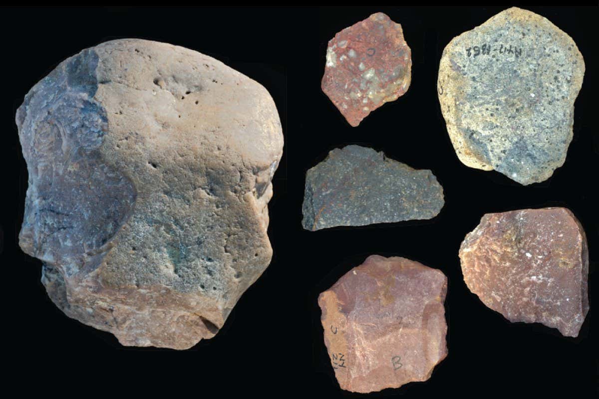 Early Oldowan stone tools from Nyayanga. Kenya