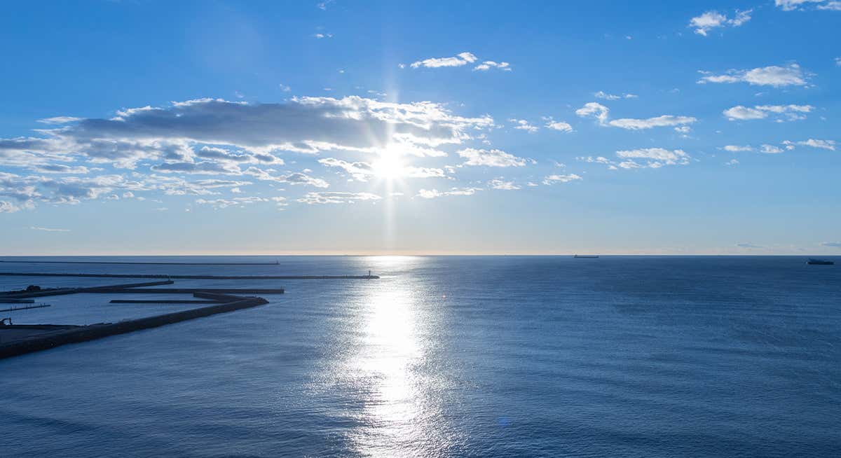 Fukushima: the inside story of the ALPS treated water