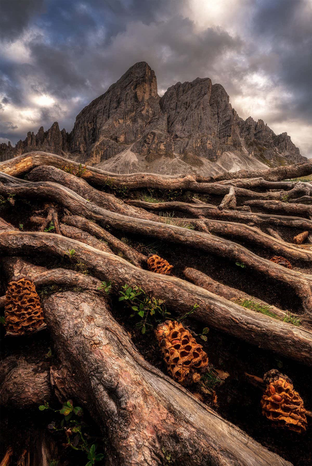 New Scientist. Science news and long reads from expert journalists, covering developments in science, technology, health and the environment on the website and the magazine.