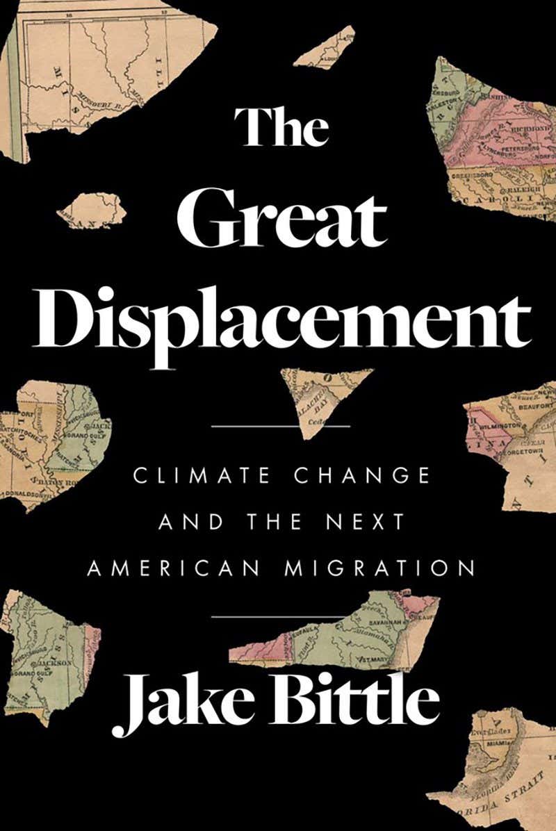 The Great Displacement cover