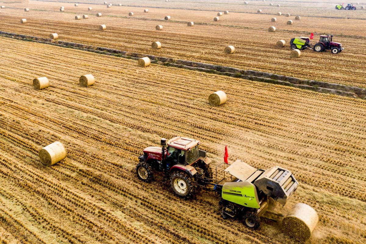 Aerial view of tractor in wheat field harvesting straw for biomass power generation