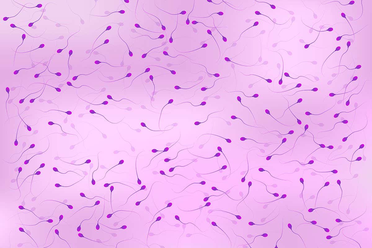 Sperm view under microscope, spermatozoa background, vector illustration eps10