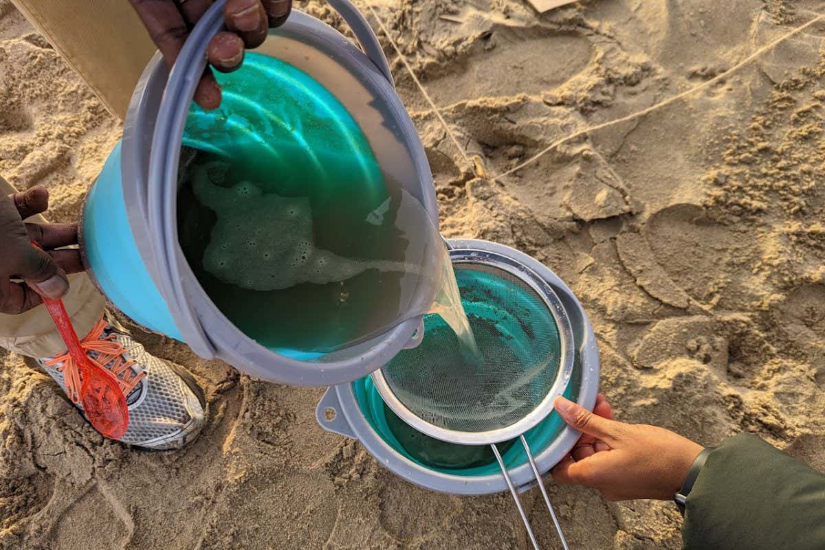 Big Microplastic Survey. Layal?s Citizen Science Maker for 18th Feb. Photos from Layla's survey.