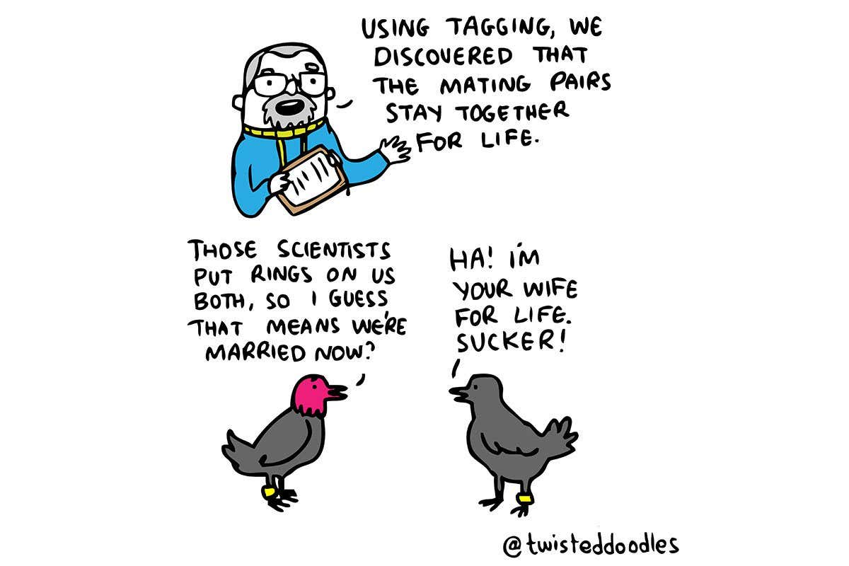 Twisteddoodles puts a ring on it