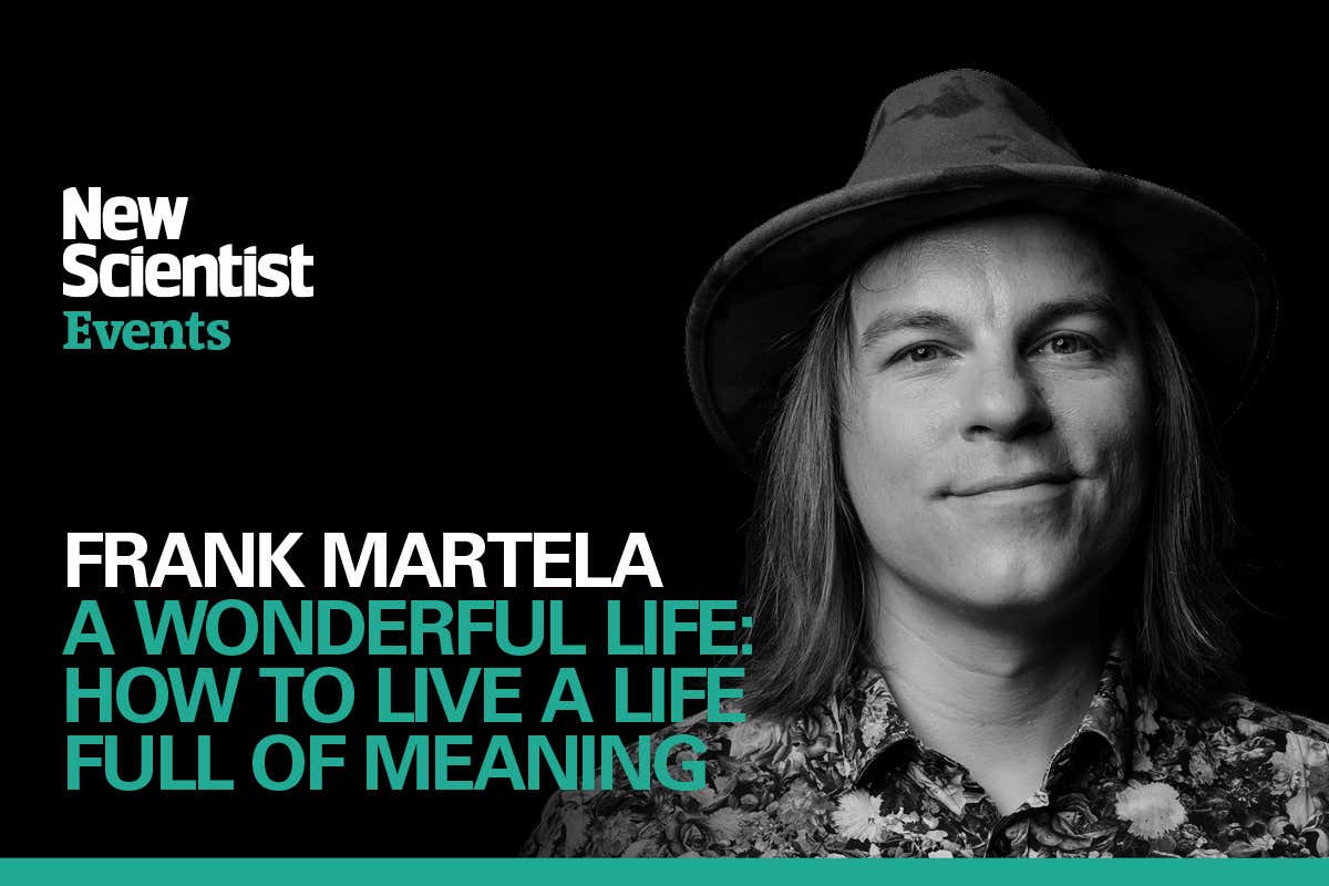 New Scientist Default Image