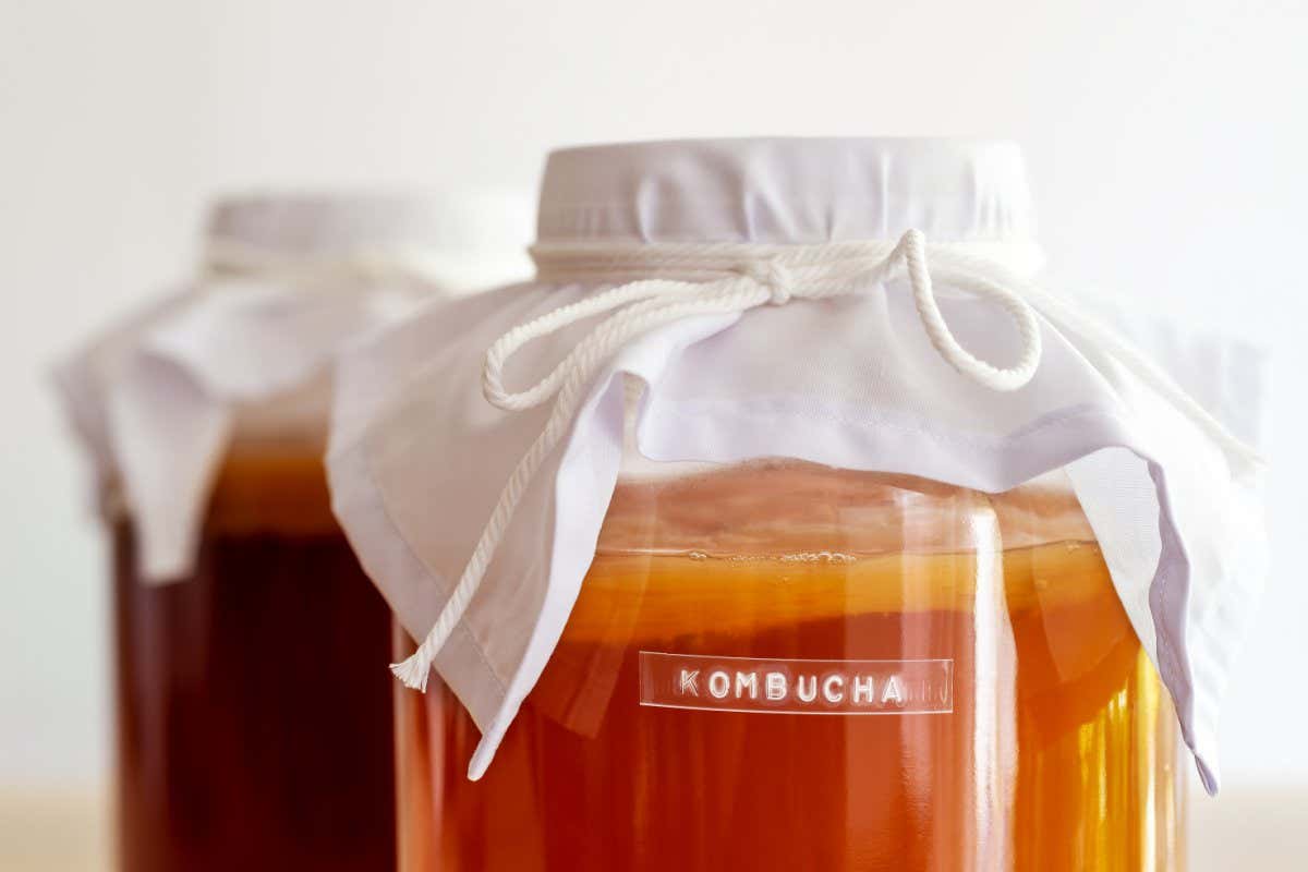 The fermented, probiotic tea kombucha