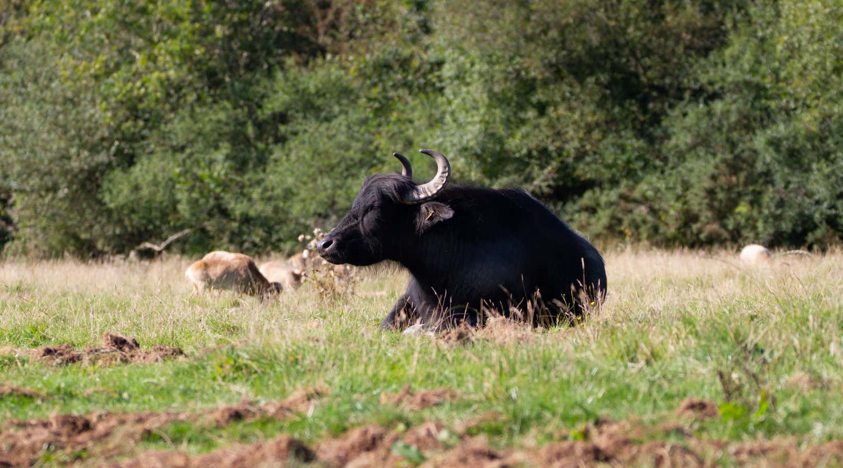 New Scientist. Science news and long reads from expert journalists, covering developments in science, technology, health and the environment on the website and the magazine.