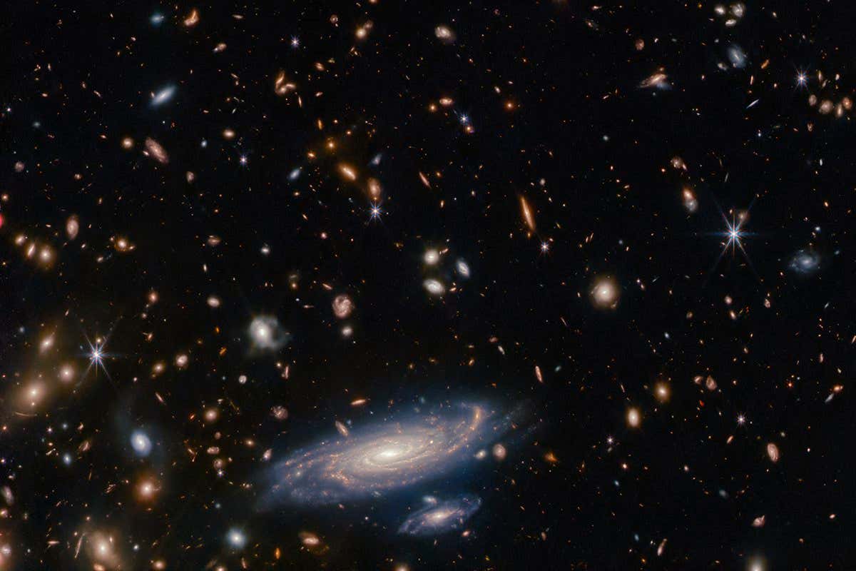 JWST image of crowded field of galaxies