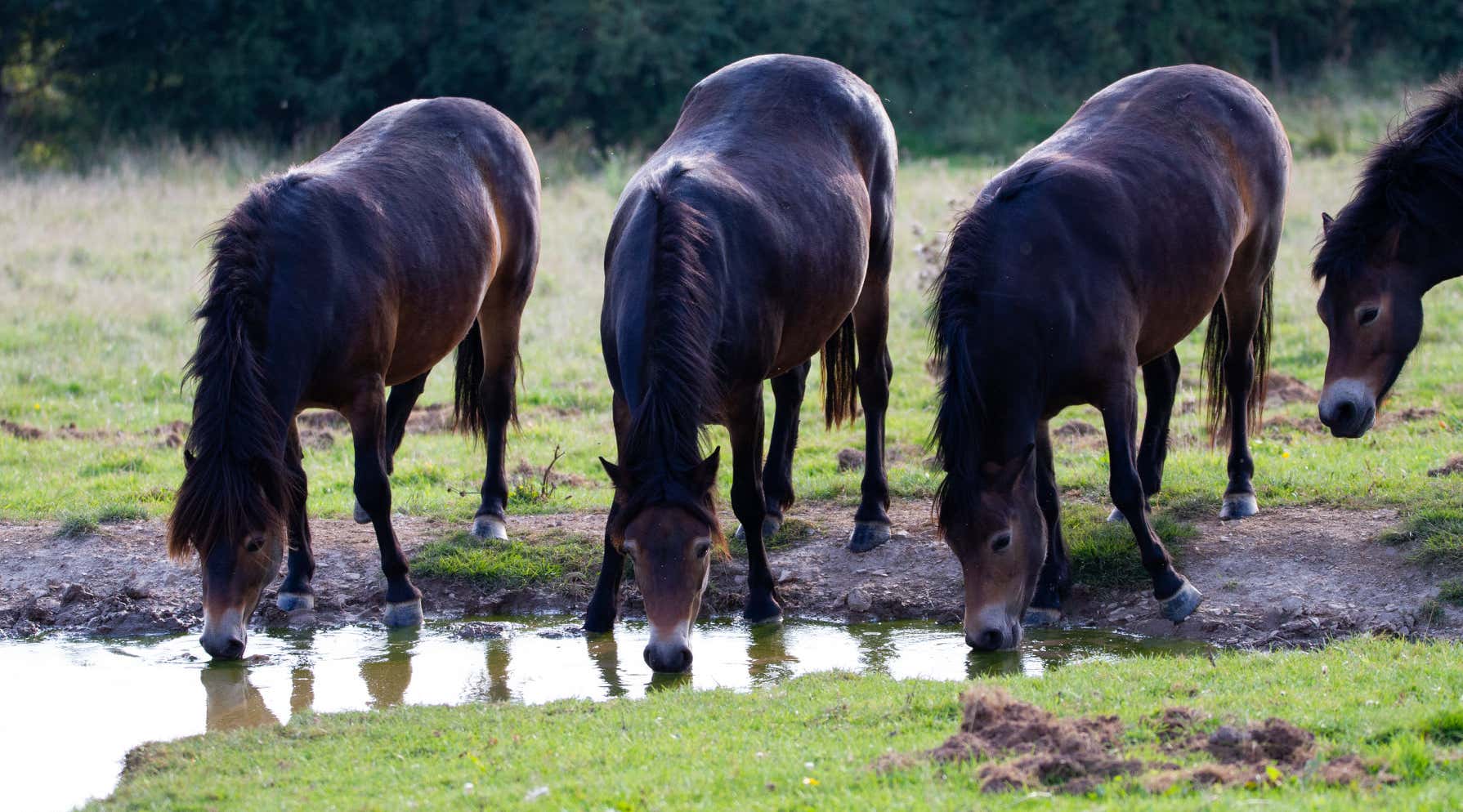 New Scientist. Science news and long reads from expert journalists, covering developments in science, technology, health and the environment on the website and the magazine.