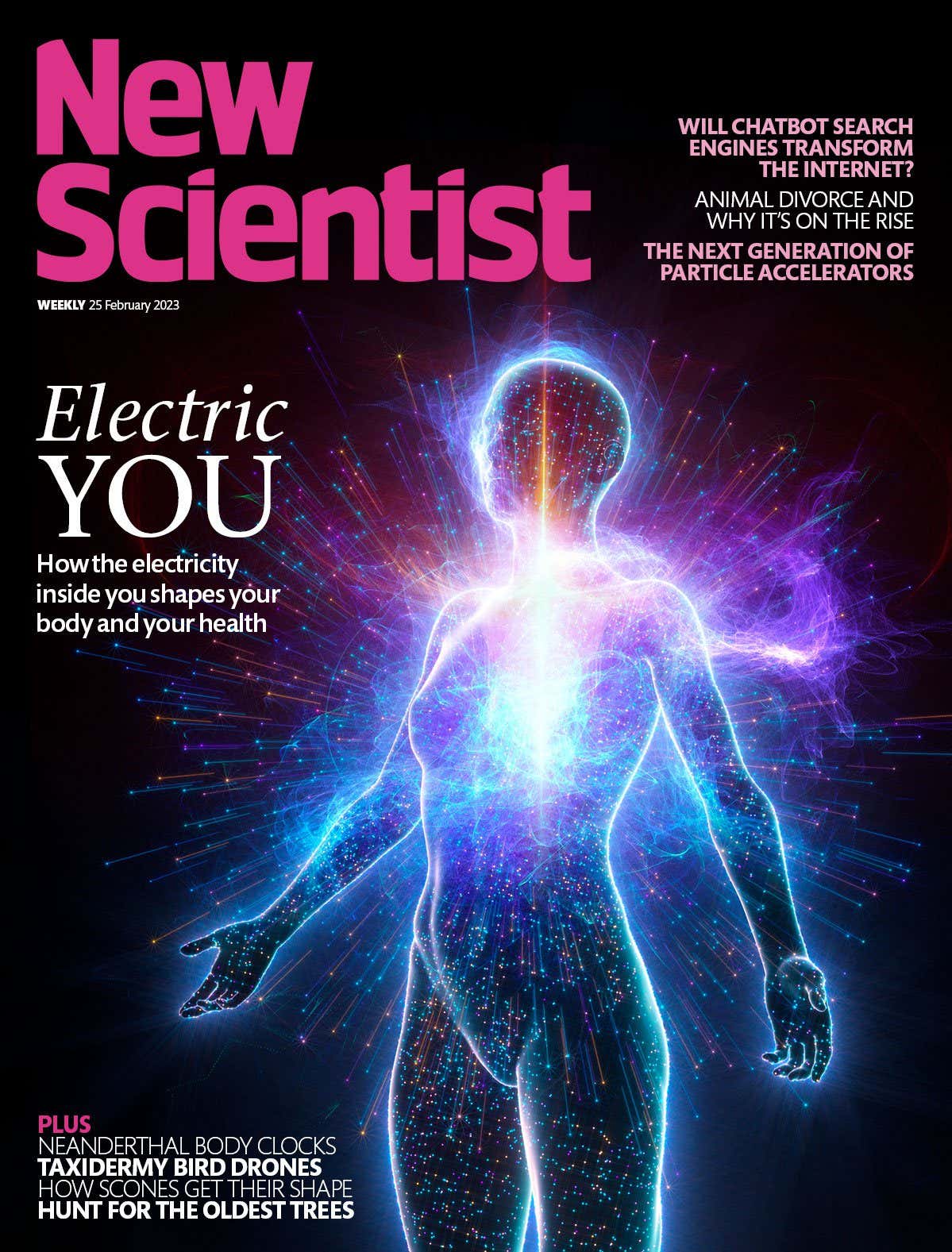 New Scientist issue 3427 cover