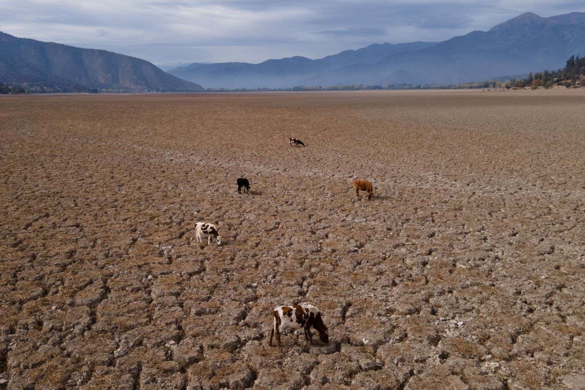 Dry ground in a former lagoon