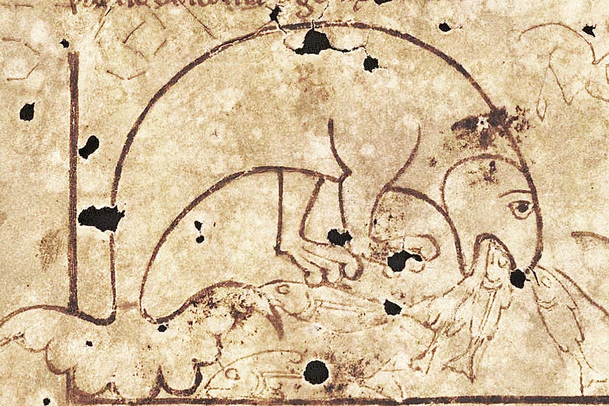 Icelandic Physiologus (c.1200) depiction of the Apsido feeding (Reykjavík AM 673 a II 4to fol. 3v