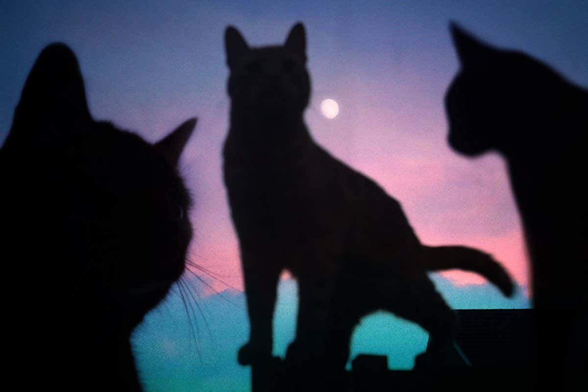 New Scientist. Science news and long reads from expert journalists, covering developments in science, technology, health and the environment on the website and the magazine.