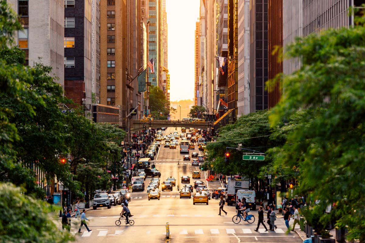 Urban Jungle review: The new challenge of cities teeming with life