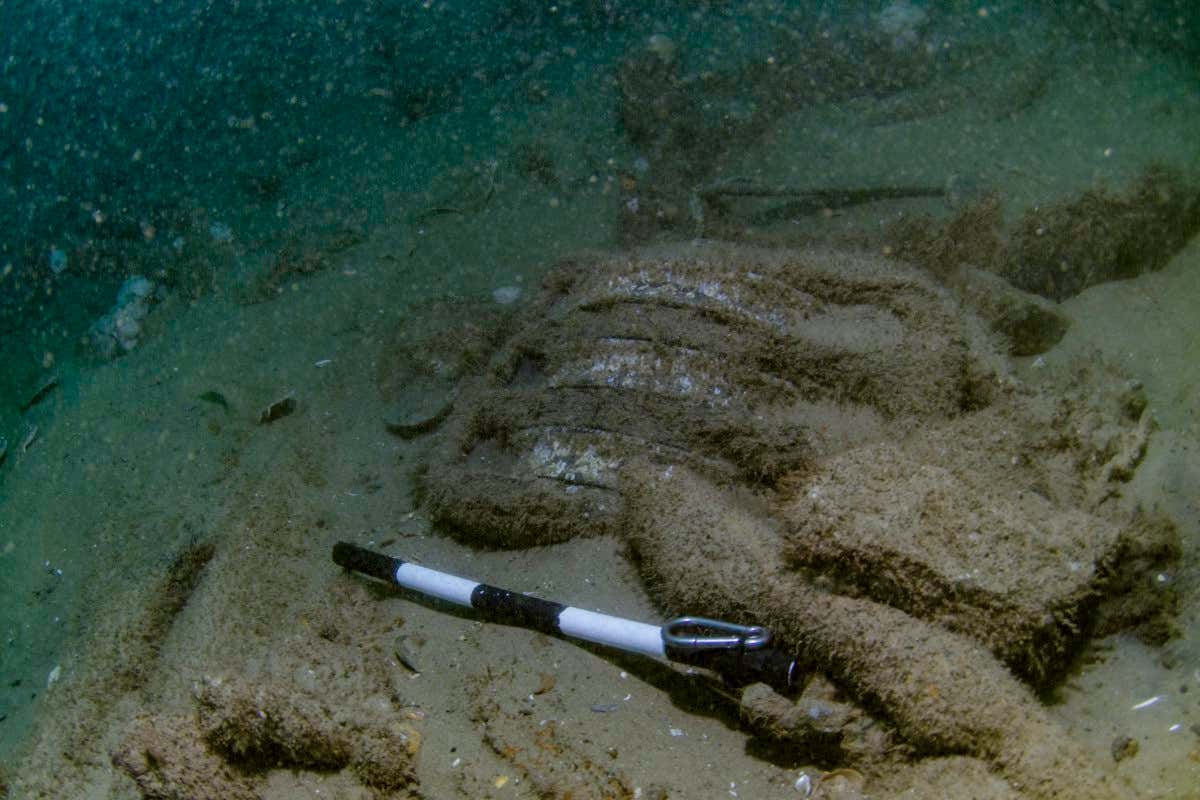 Pulley block exposed on the seabed_? Norfolk Historic Shipwrecks