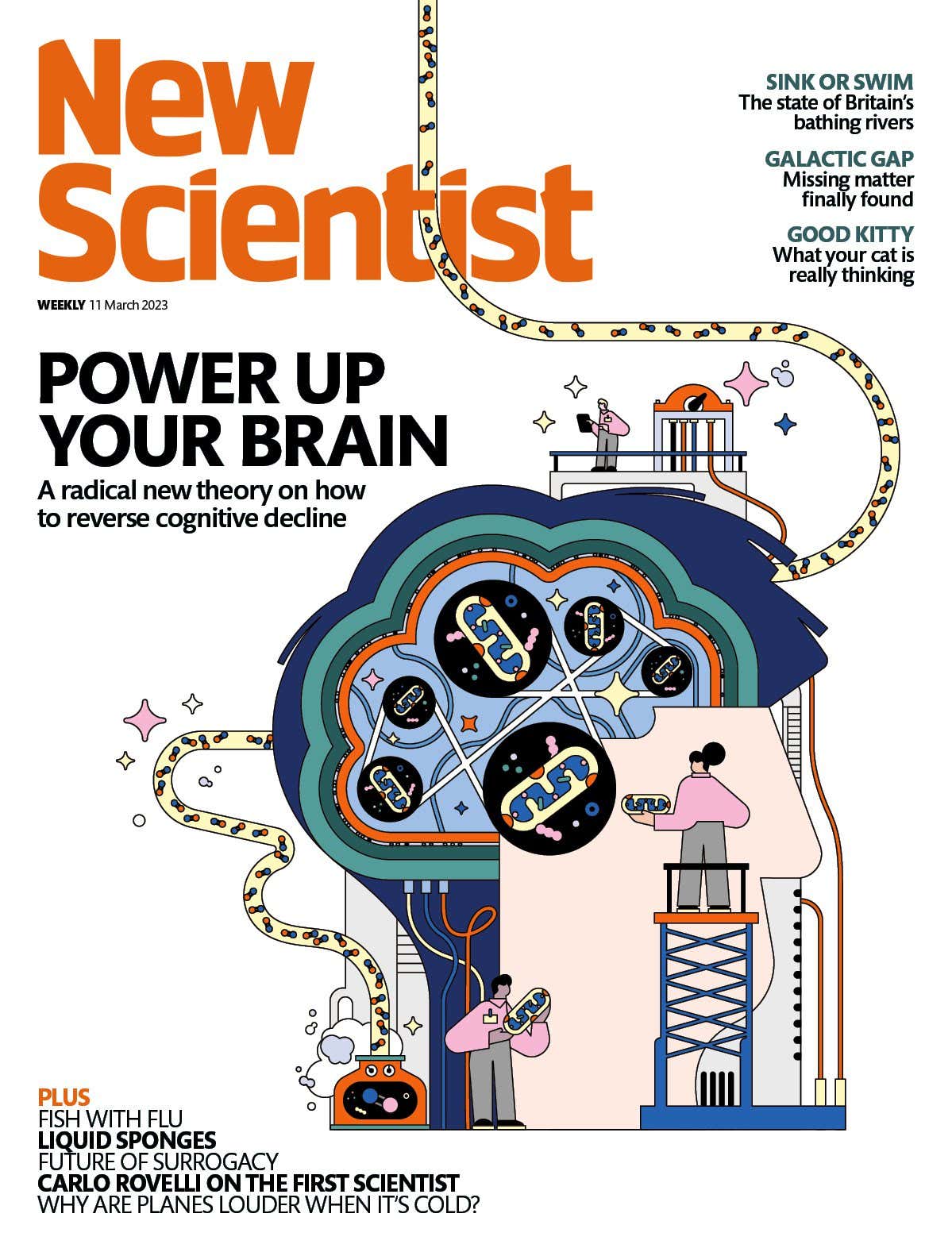 New Scientist issue 3429 cover