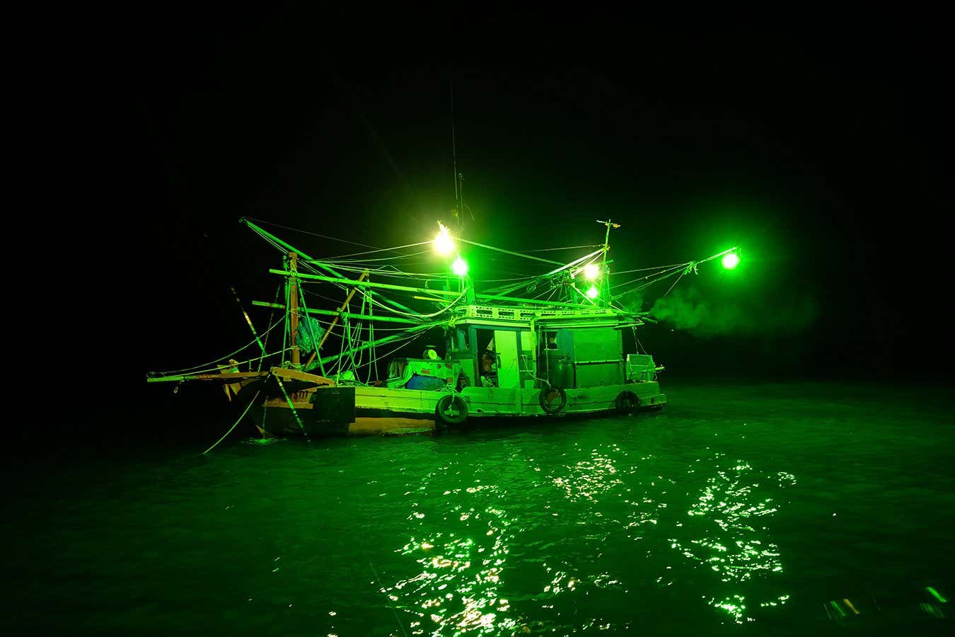 Fishing vessels are catching squid at night.