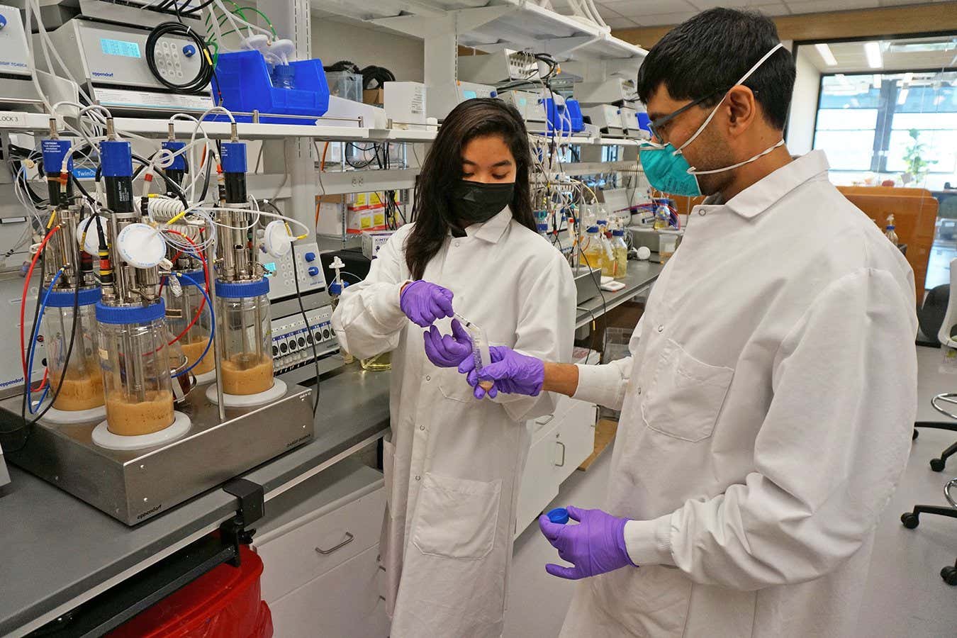 First beauty products made with synthetic palm oil go on sale