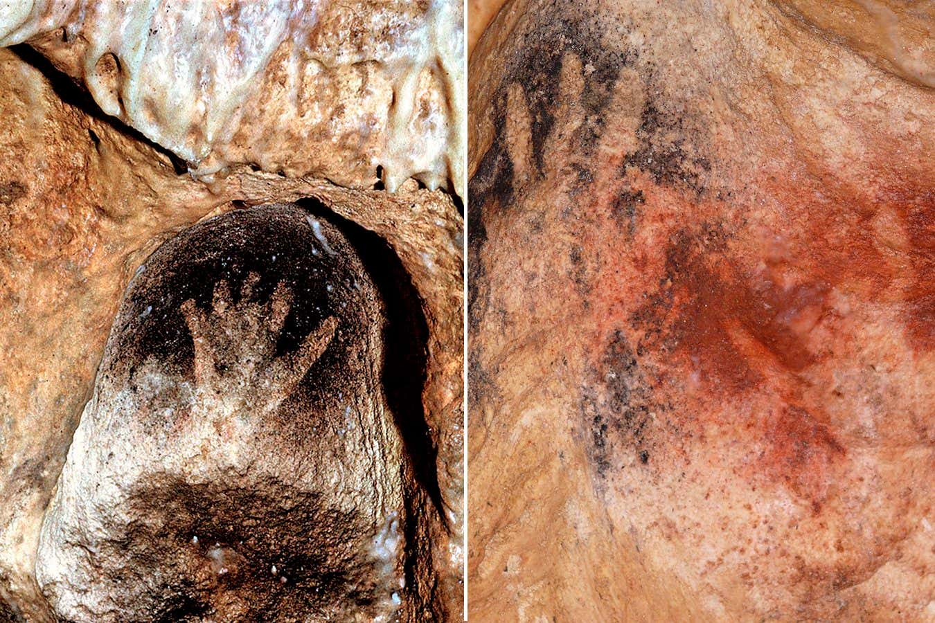 New Scientist. Science news and long reads from expert journalists, covering developments in science, technology, health and the environment on the website and the magazine.