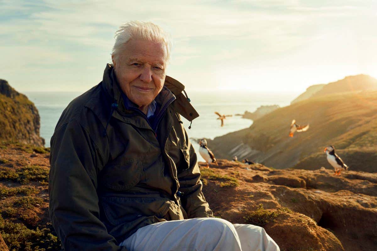 Wild Isles,16-08-2022,Sir David Attenborough,Sir David Attenborough, filming for Wild Isles series, next to Common puffins (Fratercula arctica), Skomer Island, off Pembrokeshire coast, Wales, UK, June 2022,?Alex Board/Silverback Films,Alex Board WARNING: Use of this copyright image is subject to the terms of use of BBC Pictures' Digital Picture Service (BBC Pictures) as set out at www.bbcpictures.co.uk/terms-and-conditions/. In particular, this image may only be published by a registered User of BBC Pictures for editorial use for the purpose of publicising the relevant BBC programme, personnel or activity during the Publicity Period which ends three review weeks following the date of transmission and provided the BBC and the copyright holder in the caption are credited. For any other purpose whatsoever, including advertising and commercial, prior written approval from the copyright holder will be required.
