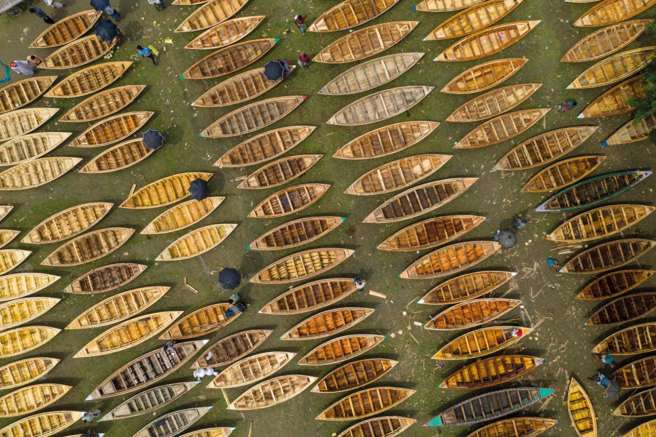 New Scientist. Science news and long reads from expert journalists, covering developments in science, technology, health and the environment on the website and the magazine.